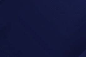 荷兰没《黑神话》测评代码引争议 玩家：地方小没市场